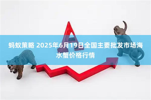 蚂蚁策略 2025年6月19日全国主要批发市场海水蟹价格行情
