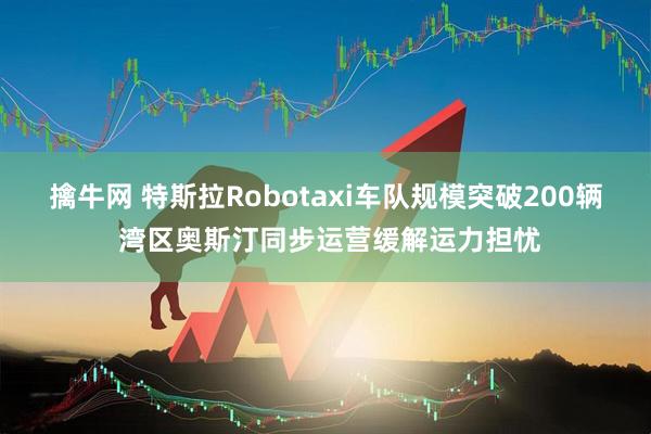 擒牛网 特斯拉Robotaxi车队规模突破200辆 湾区奥斯汀同步运营缓解运力担忧