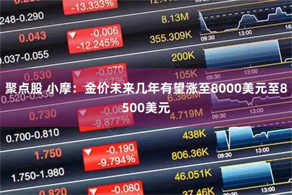 聚点股 小摩：金价未来几年有望涨至8000美元至8500美元