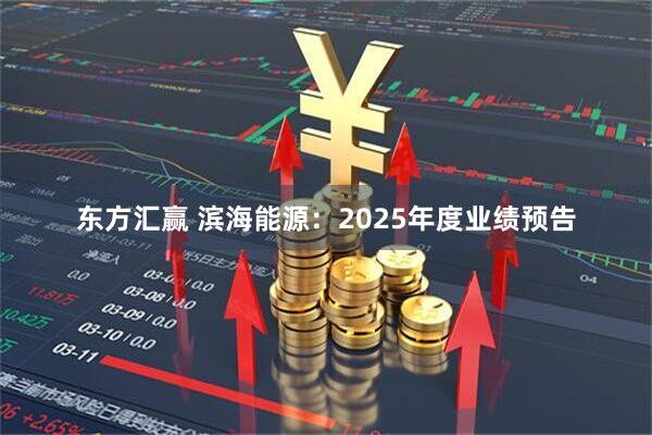 东方汇赢 滨海能源：2025年度业绩预告